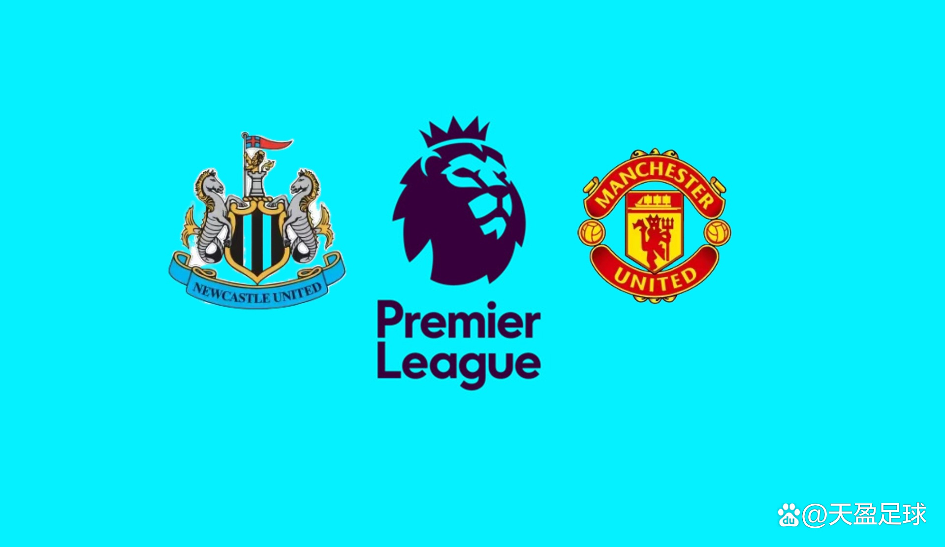 案例分析显 案例分析显