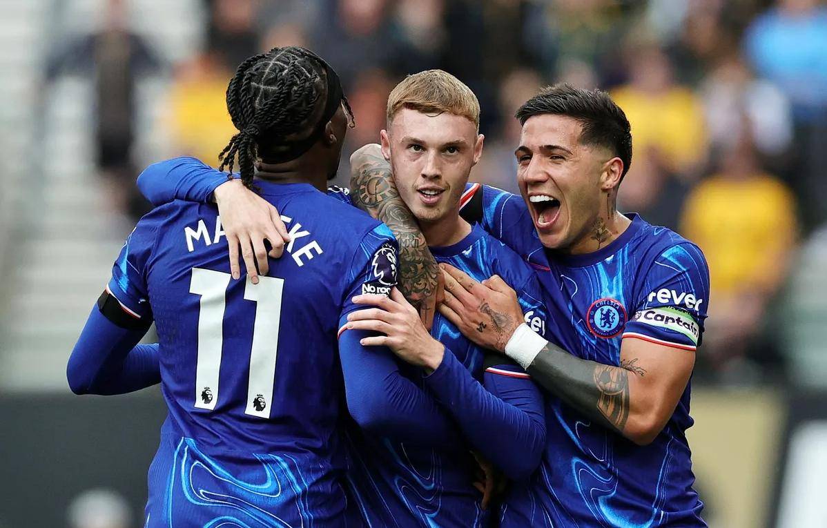 置不仅需要 置不仅需要