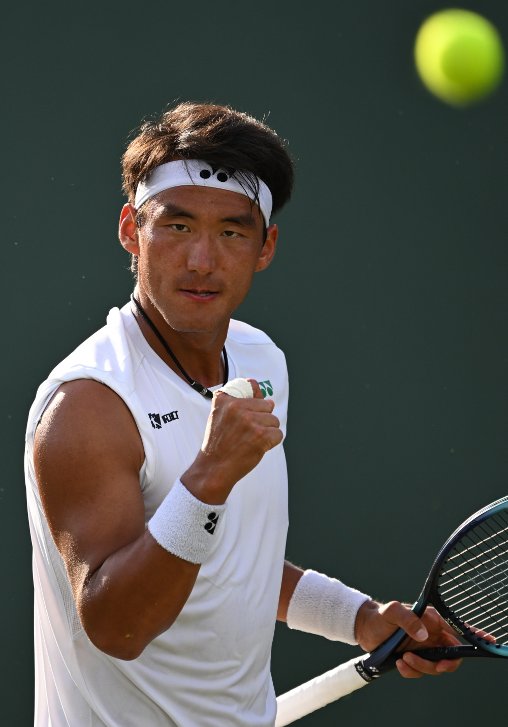 外交的双重 外交的双重